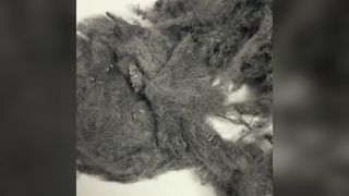 فیبر اکریلیک مقاوم در برابر آتش سیاه 1.5D*32mm، فیبر منگنه مقاوم در برابر درجه حرارت بالا