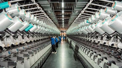 آخرین اخبار شرکت در مورد تفاوت بین فیبر پنبه و پلی استر: یک تحلیل عمیق حرفه ای