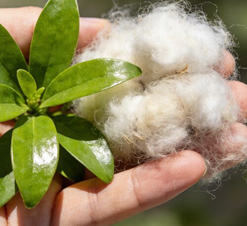 آخرین اخبار شرکت در مورد الیاف توخالی سیاه و سفید: انتخاب اصلی برای تولید نساجی و صنعتی