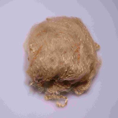 خرید رنگ قهوه ای بازیافت شده فیبر کوتاه استیپل 64mm مواد پلی استر PSF کم ذوب تولید آنلاین