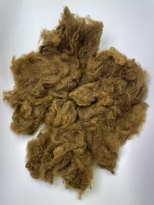 قیمت خوب Recycled Polyester Staple Fiber 1.5D Yellow Brown with 0.2% Oil Content for High Durability آنلاین