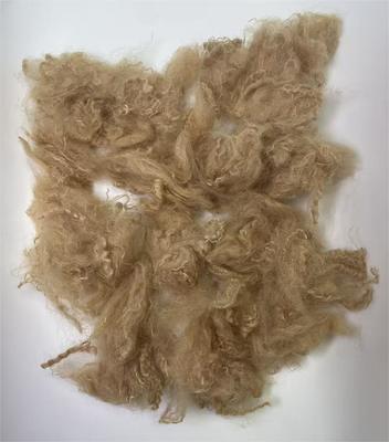 قیمت خوب Recycled Polyester Staple Fiber with 38-64mm Fiber Cut Length High Tear Resistance and 0.4% Moisture Regain آنلاین