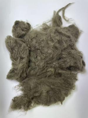 قیمت خوب 1.5D Recycled Polyester Staple Fiber with 255-265℃ Melting Point and 32mm-102mm Cut Length for High Durability آنلاین